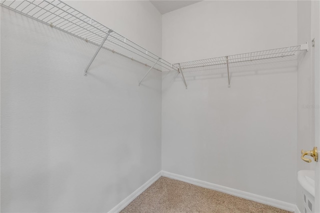 spacious closet with carpet