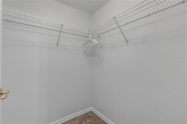 spacious closet with carpet