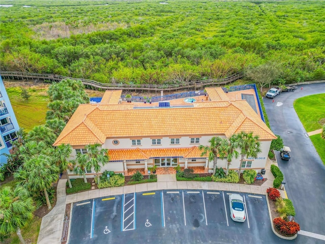 bird's eye view