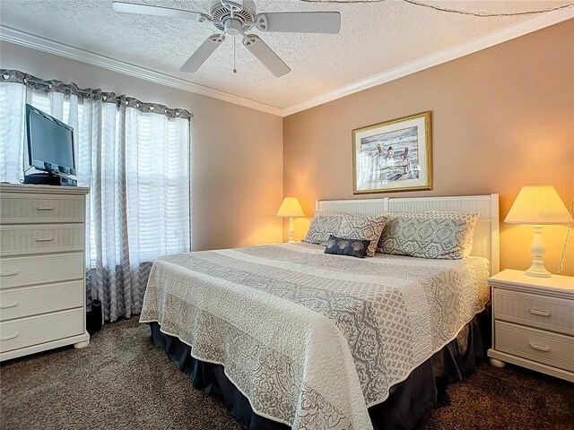 4225 S Atlantic Ave Unit 218, New Smyrna Beach, FL 32169 - photo 9