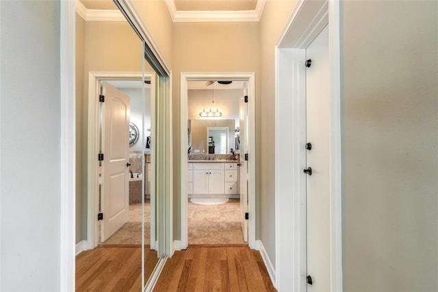 hall with light wood finished floors and ornamental molding