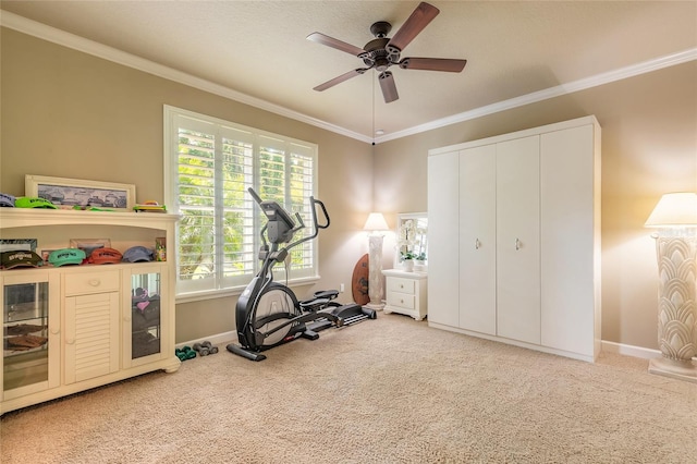 exercise area featuring ceiling fan, ornamental molding, carpet flooring, and baseboards
