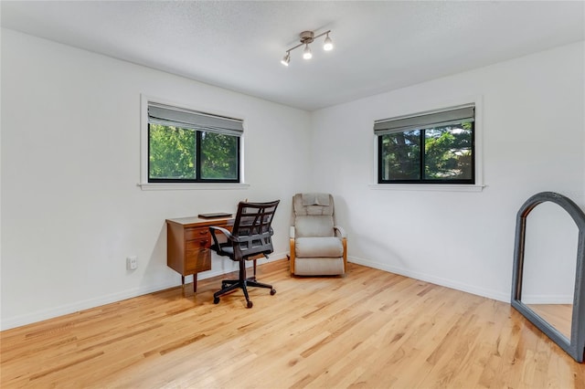 office area featuring a wealth of natural light, baseboards, and wood finished floors