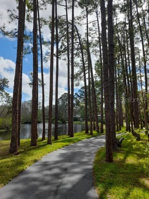 view of home's community with a water view and driveway