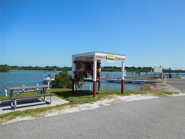 dock with a water view