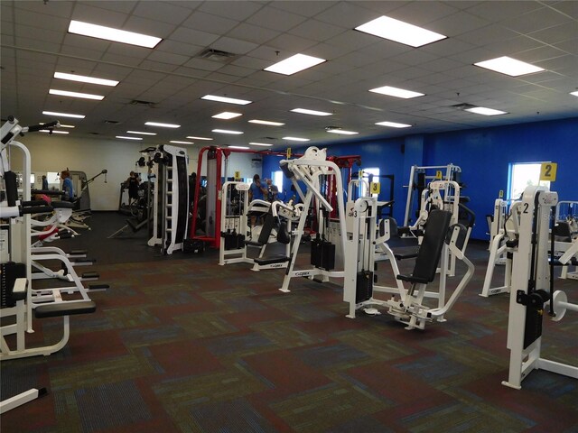workout area featuring carpet flooring