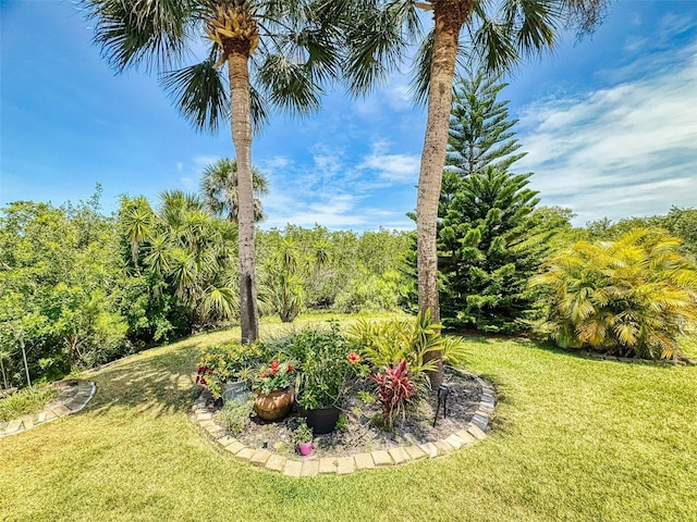 view of grassy yard