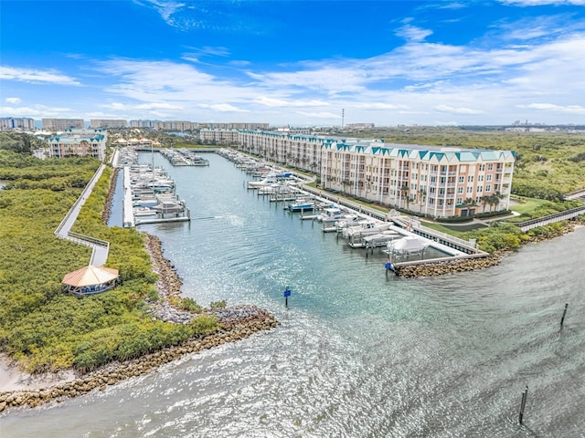 bird's eye view of a large body of water