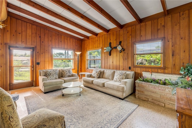 living area with vaulted ceiling