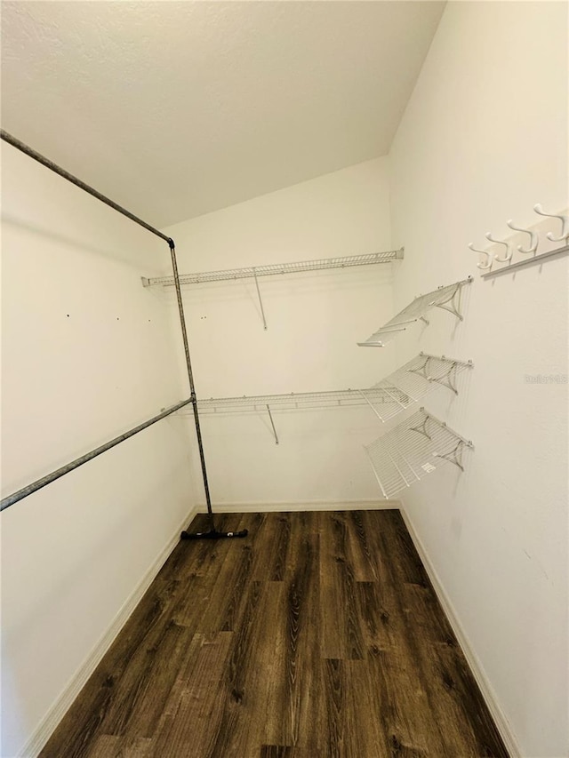 3303 Victory Palm Dr, Edgewater, FL 32141 - walk in closet featuring wood finished floors