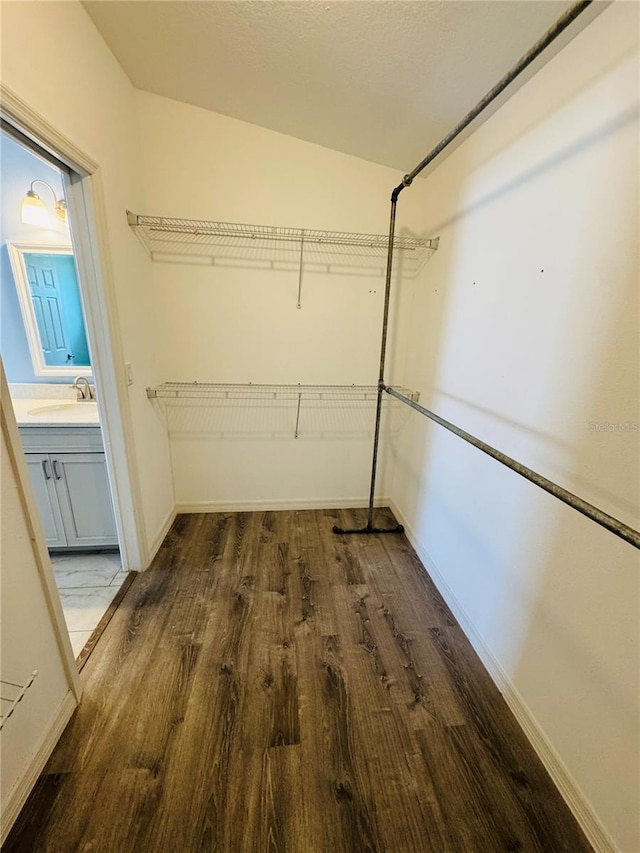 3303 Victory Palm Dr, Edgewater, FL 32141 - spacious closet with a sink and wood finished floors