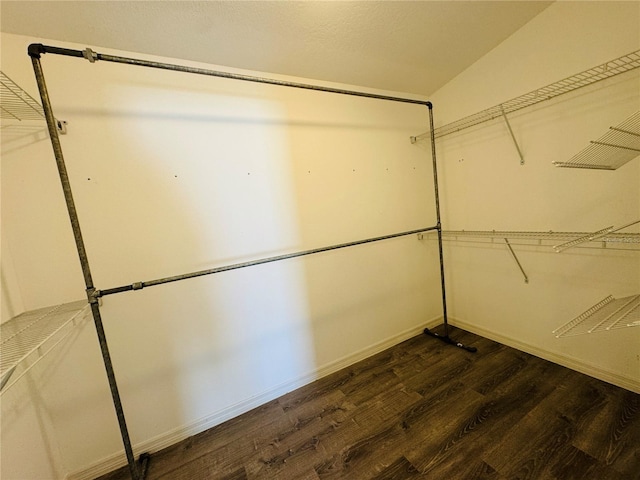 3303 Victory Palm Dr, Edgewater, FL 32141 - spacious closet featuring wood finished floors