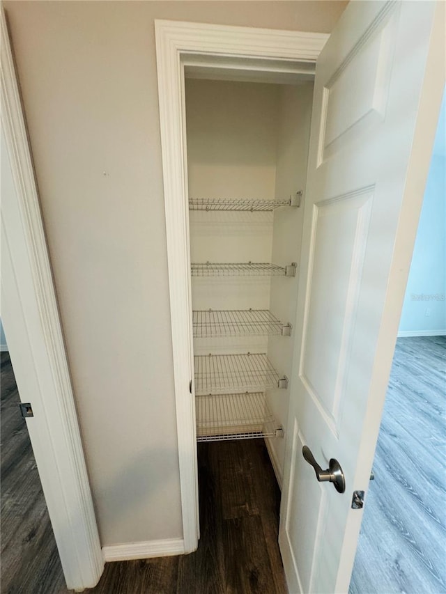 3303 Victory Palm Dr, Edgewater, FL 32141 - view of closet