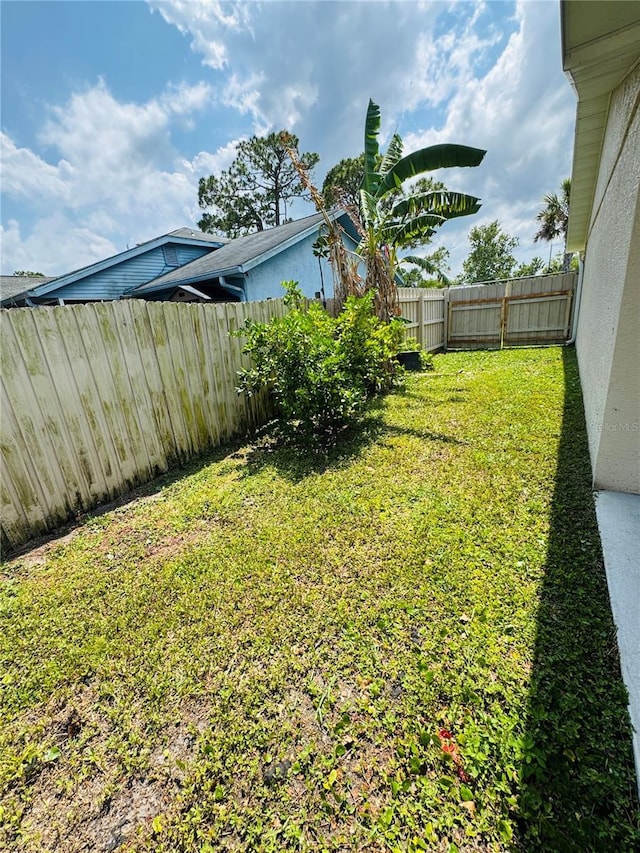 3303 Victory Palm Dr, Edgewater, FL 32141 - view of yard