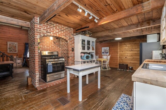 4580 Lake James Cir, Edgewater, FL 32141 - kitchen featuring appliances with stainless steel finishes, a wood stove, wood ceiling, dark wood-style floors, and rail lighting