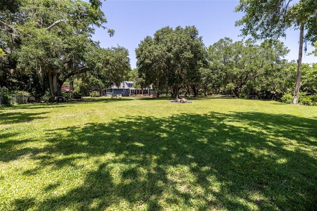 4580 Lake James Cir, Edgewater, FL 32141 - view of grassy yard featuring view of wooded area
