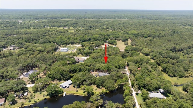 4580 Lake James Cir, Edgewater, FL 32141 - drone / aerial view of a forest and a large body of water