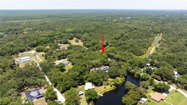 4580 Lake James Cir, Edgewater, FL 32141 - bird's eye view of a heavily wooded area and a nearby body of water
