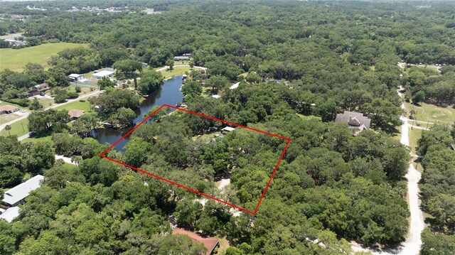 4580 Lake James Cir, Edgewater, FL 32141 - view of property location featuring a large body of water, a heavily wooded area, and property boundaries highlighted