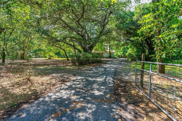 1786 Taylor Rd, Port Orange, FL 32128 - photo 33