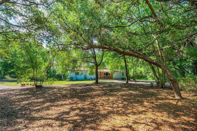 1786 Taylor Rd, Port Orange, FL 32128 - photo 35