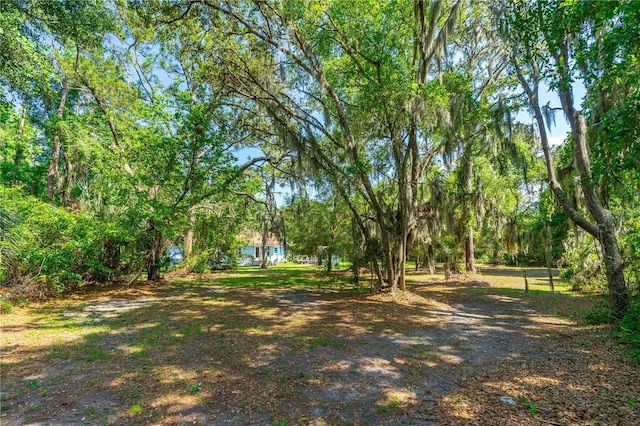 1786 Taylor Rd, Port Orange, FL 32128 - photo 42