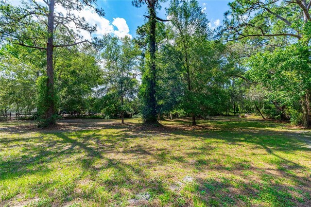 1786 Taylor Rd, Port Orange, FL 32128 - photo 43