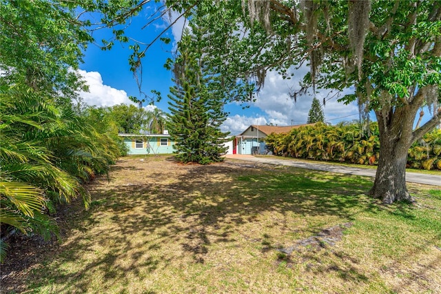 2576 Sunset Dr, New Smyrna Beach, FL 32168 - obstructed view of property featuring a front lawn and driveway