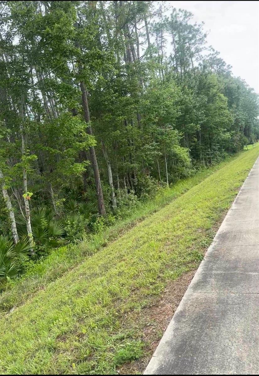 3256 State Road 207, Elkton, FL 32033 - photo 2