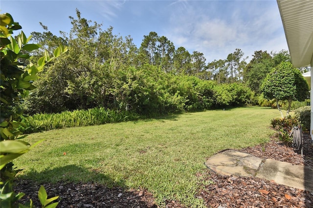 1442 Carlow Cir, Ormond Beach, FL 32174 - view of green lawn