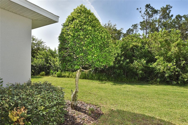 1442 Carlow Cir, Ormond Beach, FL 32174 - view of grassy yard