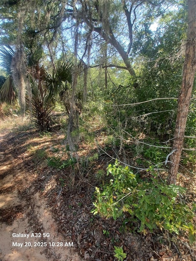 108 Rabbit Track Rd, Satsuma, FL 32189