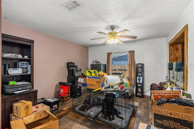428 Perdita St, Edgewater, FL 32132 - photo 5