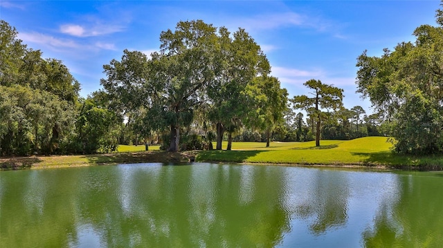 1999 Turnbull Lakes Dr, New Smyrna Beach, FL 32168 - photo 3