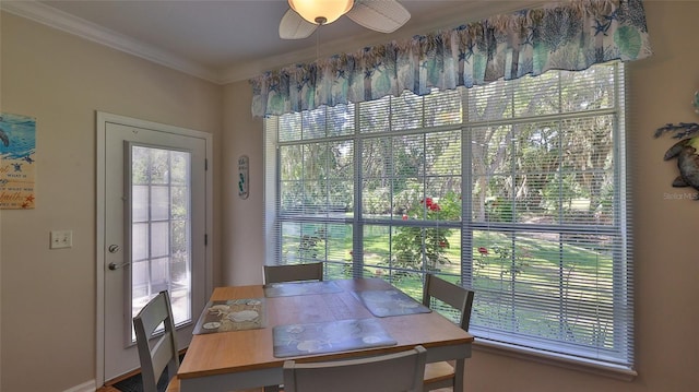 1999 Turnbull Lakes Dr, New Smyrna Beach, FL 32168 - photo 19