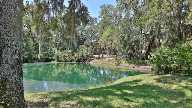 1999 Turnbull Lakes Dr, New Smyrna Beach, FL 32168 - photo 21