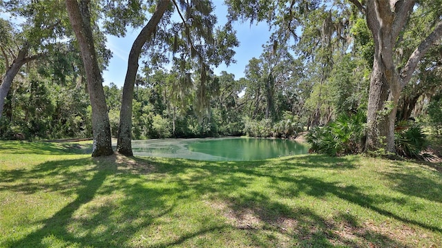 1999 Turnbull Lakes Dr, New Smyrna Beach, FL 32168 - photo 24
