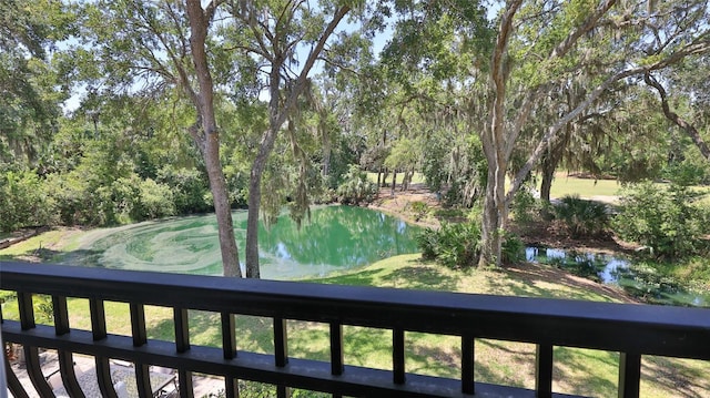 1999 Turnbull Lakes Dr, New Smyrna Beach, FL 32168 - photo 44