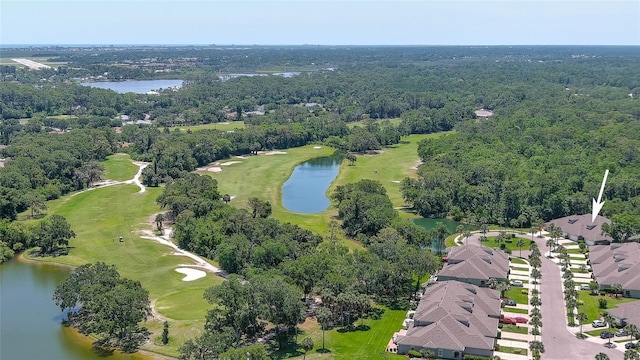 1999 Turnbull Lakes Dr, New Smyrna Beach, FL 32168 - photo 53
