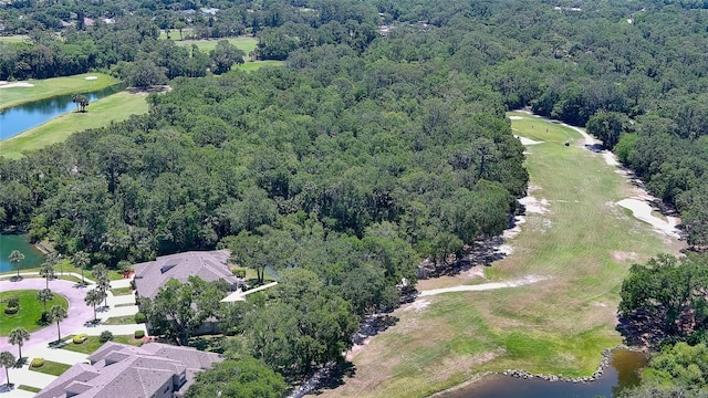 1999 Turnbull Lakes Dr, New Smyrna Beach, FL 32168 - photo 56