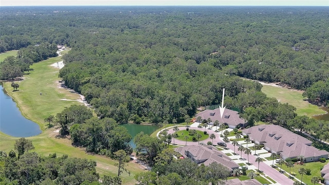 1999 Turnbull Lakes Dr, New Smyrna Beach, FL 32168 - photo 55