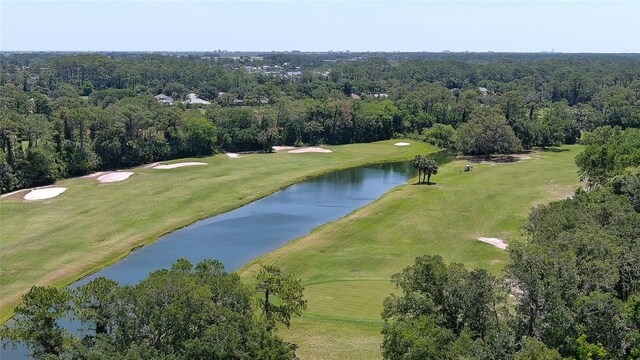 1999 Turnbull Lakes Dr, New Smyrna Beach, FL 32168 - photo 49