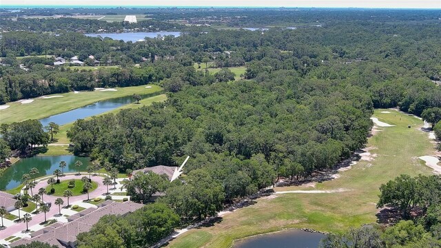 1999 Turnbull Lakes Dr, New Smyrna Beach, FL 32168 - photo 57