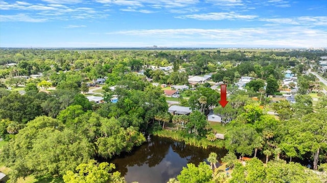 704 Lynn Ave, New Smyrna Beach, FL 32168 - photo 31