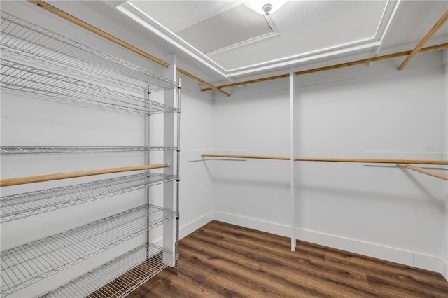 1144 Corbin Park Rd, New Smyrna Beach, FL 32168 - walk in closet with dark wood-style floors