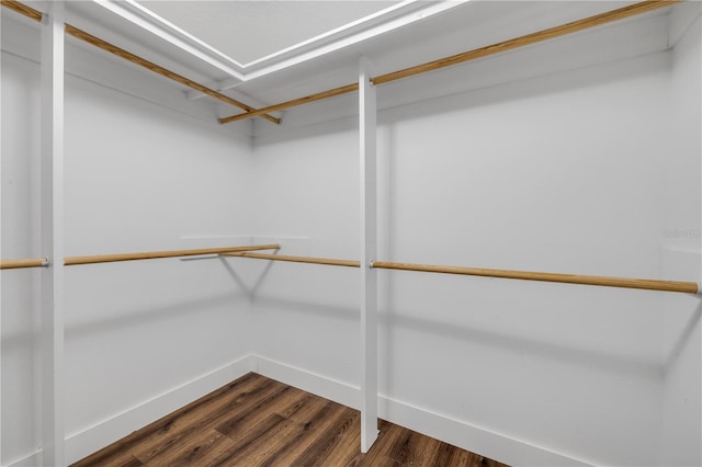 1144 Corbin Park Rd, New Smyrna Beach, FL 32168 - walk in closet featuring dark wood-style flooring