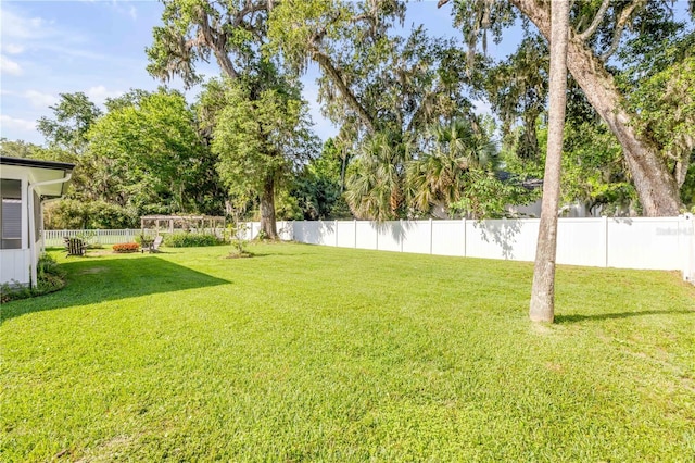 1144 Corbin Park Rd, New Smyrna Beach, FL 32168 - view of yard