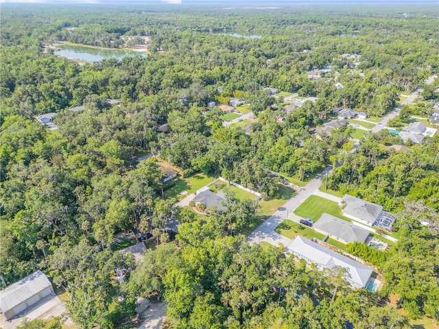 1144 Corbin Park Rd, New Smyrna Beach, FL 32168 - view of property location featuring a forest and a nearby body of water