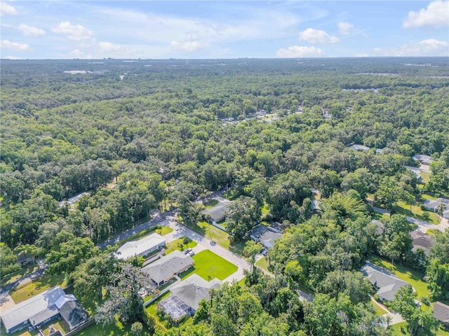 1144 Corbin Park Rd, New Smyrna Beach, FL 32168 - view of property location with a heavily wooded area