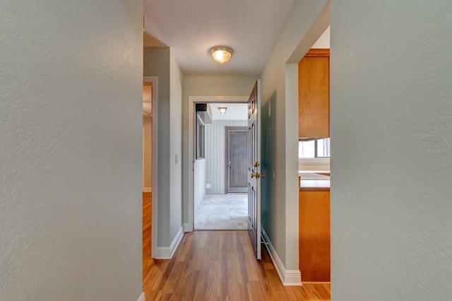 488 Shorewood Ln, New Smyrna Beach, FL 32168 - hall featuring light wood finished floors, a textured wall, and baseboards